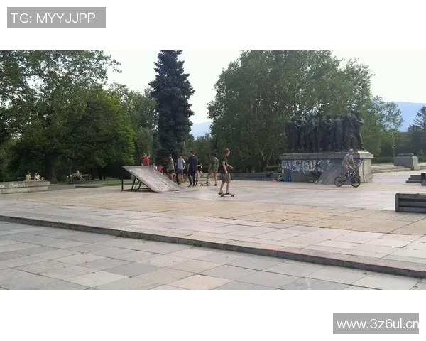 聚焦极限运动：探讨北京极限运动队的意识形态与文化认同